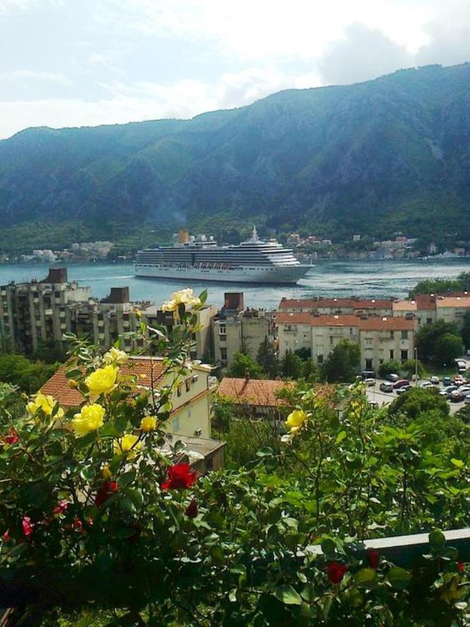 Apartment Aki Kotor Dış mekan fotoğraf