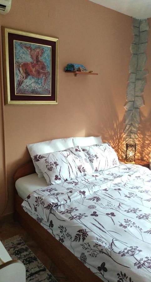 Apartment Aki Kotor Dış mekan fotoğraf