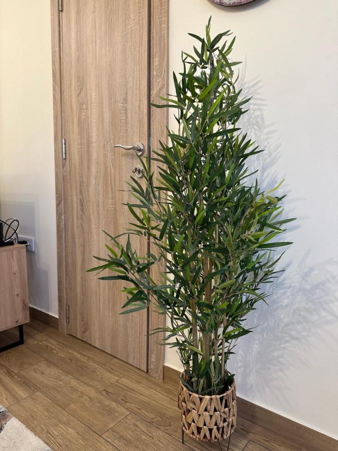 Apartment Aki Kotor Dış mekan fotoğraf
