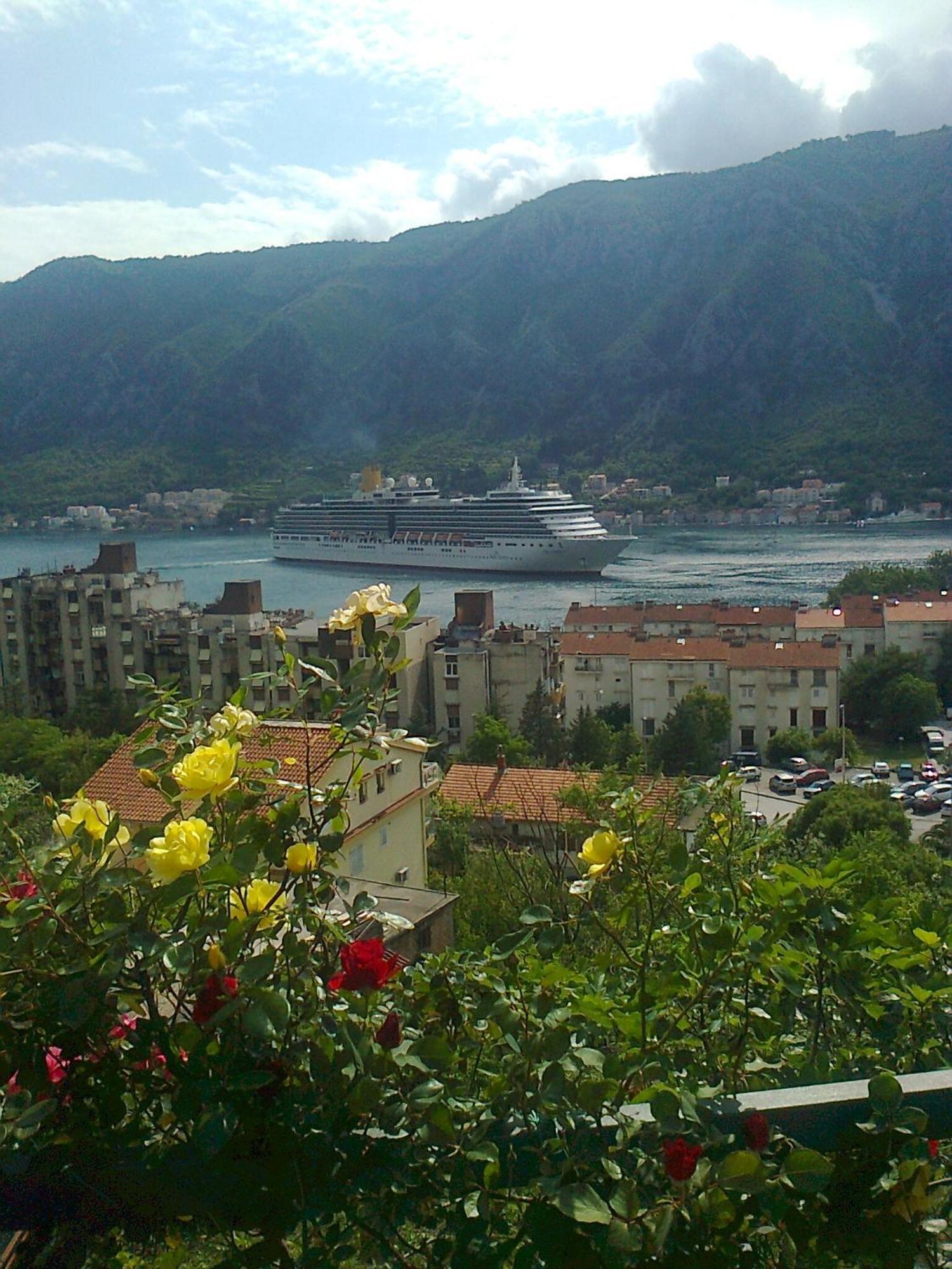 Apartment Aki Kotor Dış mekan fotoğraf