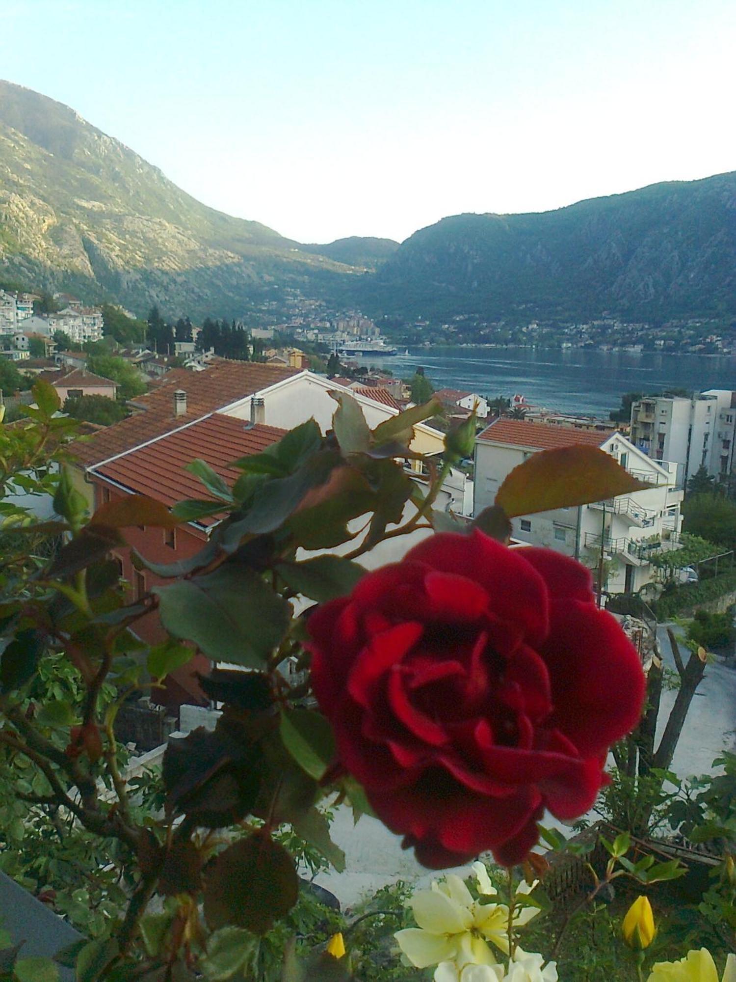 Apartment Aki Kotor Dış mekan fotoğraf